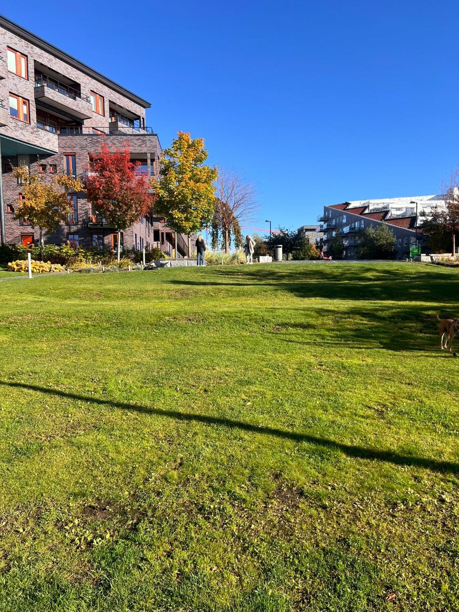 אוסלו City Center מראה חיצוני תמונה